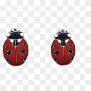 24 In X - Ladybug, HD Png Download