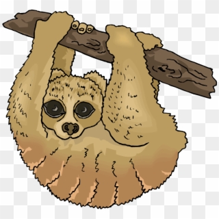Free Sloth Clipart - Two Toed Sloth Clipart, HD Png Download