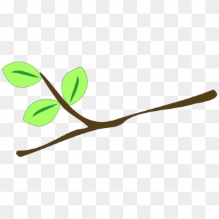 Branch Vector Leafy - Clip Art Of Twig, HD Png Download