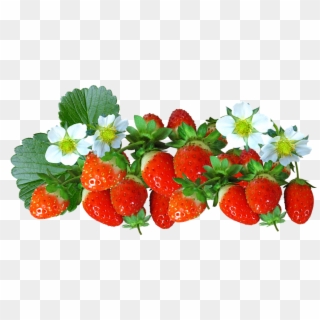 Strawberries, Fruit, Food, Flowers, Summer, Natural - Strawberry Flower Png, Transparent Png