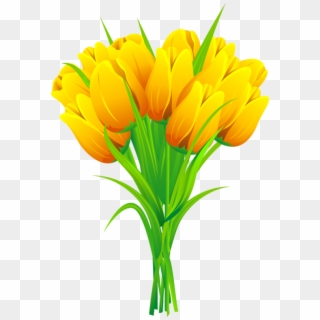 Tulip Flower Free Png Transparent Images Free Download - Flower Bouquet Clipart Png, Png Download