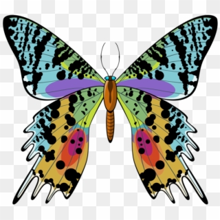 Png For Free Download On Mbtskoudsalg - Chrysiridia Rhipheus, Transparent Png