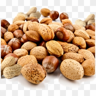 Global Nut Ingredients Market Industry Trends And Forecast - Foods To Reduce Aging, HD Png Download