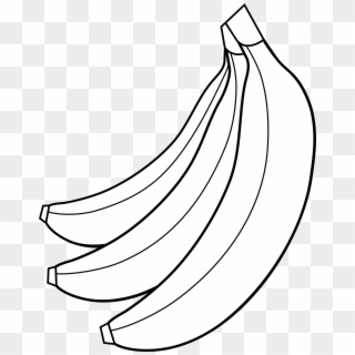 Colorable Bunch Of Bananas - Banana Clipart Black And White, HD Png Download