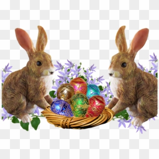 Easter Basket Bunny Png Transparent Images - Easter Bunny Transparent Background, Png Download