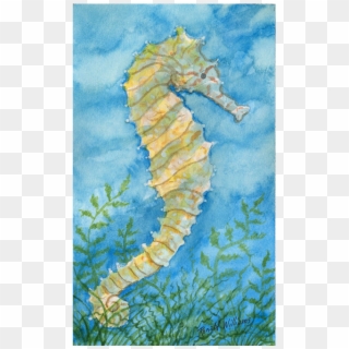 Seahorse, HD Png Download