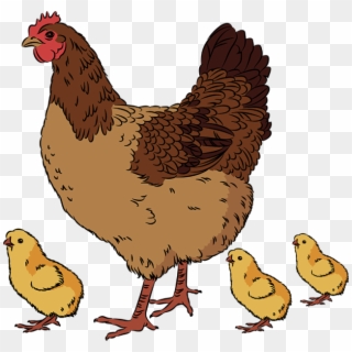 Hen Pencil And In - Hen With Chicken Clipart, HD Png Download
