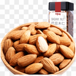 Almond , Png Download - Almond, Transparent Png