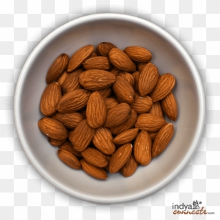 Almond, HD Png Download