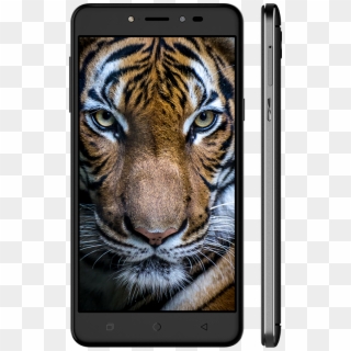 Coolpad Note 5 Tiger - Coolpad Note 5 Space Gray Colour, HD Png Download