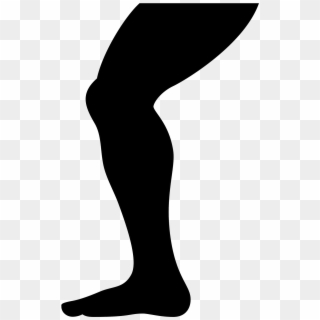 This Is A Leg From The Top Of The Thigh Down To The - Leg Icon, HD Png Download