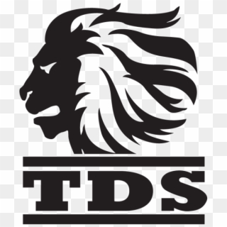 Tds Logo Medium - Tds Logo, HD Png Download
