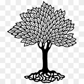 Leafy Tree Rubber Stamp - Washington Education Association, HD Png Download