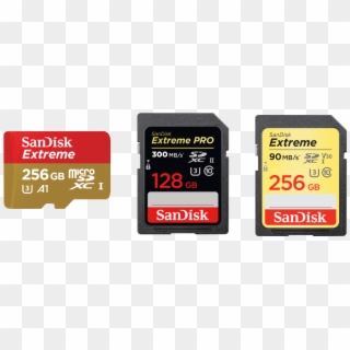 Sandisk Sd Cards And Microsd Card - Sandisk Sd Card 256gb, HD Png Download
