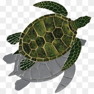 Gt7-sh Green Sea Turtle Copy - Mosaico De Tartaruga Marinha, HD Png Download