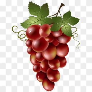 Grape Png Image & Grape Clip Art - Transparent Grapes Red Clipart, Png Download