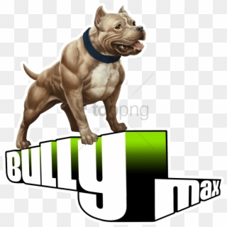 Free Png Pitbull Png Png Image With Transparent Background - American Bully, Png Download