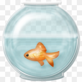 Fish Bowl Clip Art - Fish In Fishbowl Clipart, HD Png Download