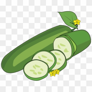 Cucumber Plant Picture - Cartoon, HD Png Download