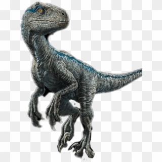 #blue, #velociraptor , #raptor, #jurrasicworld - Blue Velociraptor, HD Png Download