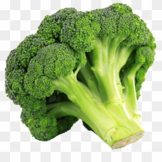Broccoli, HD Png Download