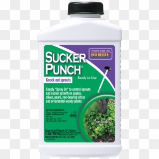 Sucker Punch® - Reptile, HD Png Download