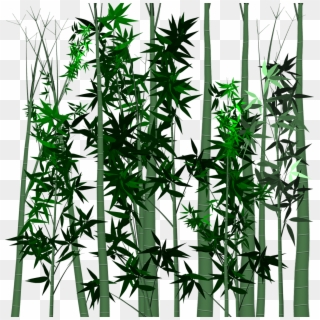 Leaf Bamboo Plant - Hemp Family, HD Png Download