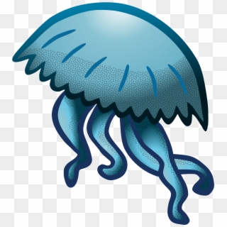 Jellyfish Sea Animal Marine Png Image - Deniz Anası Vektör, Transparent Png