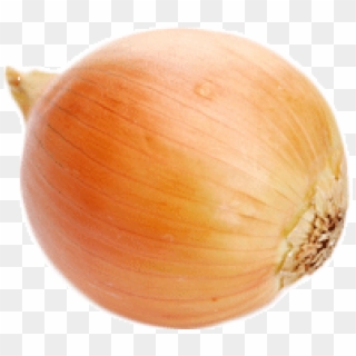 Onion Png Free Download - Red Onion No Background, Transparent Png