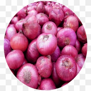 Onion - Bellary Onion, HD Png Download
