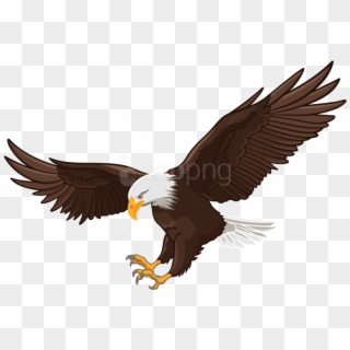 Free Png Eagle Png Images Transparent - Bald Eagle Flying Clipart, Png Download