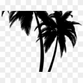 Black Palm Tree Png, Transparent Png