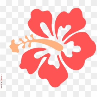 Coral Clipart Hibiscus - Coral Hibiscus Clip Art, HD Png Download