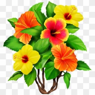 Hibiscus Bouquet, Tropical Flowers, Flower Power, Cross - Flower, HD Png Download