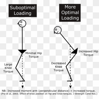 Img 2145 Optimal Loading, HD Png Download