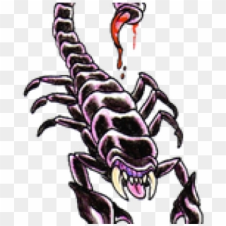 Scorpion Tattoos Png Transparent Images - Scorpion Tattoo Designs, Png Download