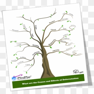Causes And Effects Of Deforestation Or How To Make - Template Mind Mapping Tree, HD Png Download