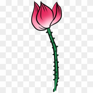 Hand Drawn Chinese Style Illustration Lotus Png And - Rose, Transparent Png