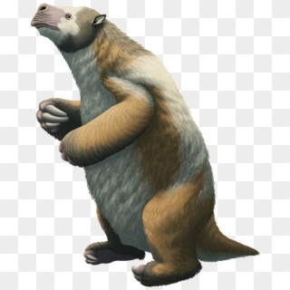 Giant Sloth Png, Transparent Png