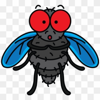 720 X 1280 - Drawing A Fly, HD Png Download