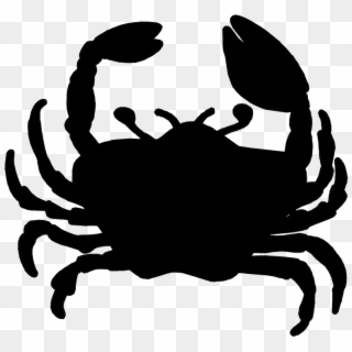 Freshwater Crab , Png Download - Freshwater Crab, Transparent Png