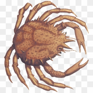 This Free Icons Png Design Of Crab 2 - Crab, Transparent Png