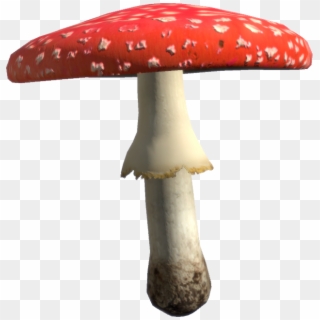Dayz Mushrooms, HD Png Download
