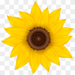 Sunflowers Png Happy Easter, Transparent Png