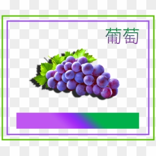 Grape Photography, HD Png Download
