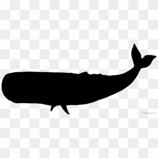 Black And White Whale Png - Whale Black Silhouette, Transparent Png