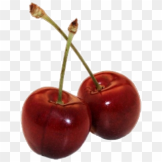 #cherry #cherrys #red #redaesthetic #sticker #png #freetoedit - Aesthetic Red Tumblr Png, Transparent Png