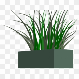 Png Grass In Pot, Transparent Png