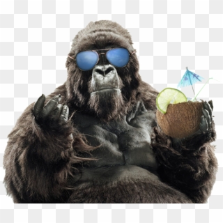 Gorilla With Sunglasses, HD Png Download