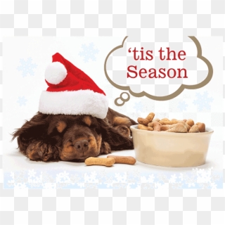 Peace & Joy Dog Bones - Weihnachts Hundekekse, HD Png Download